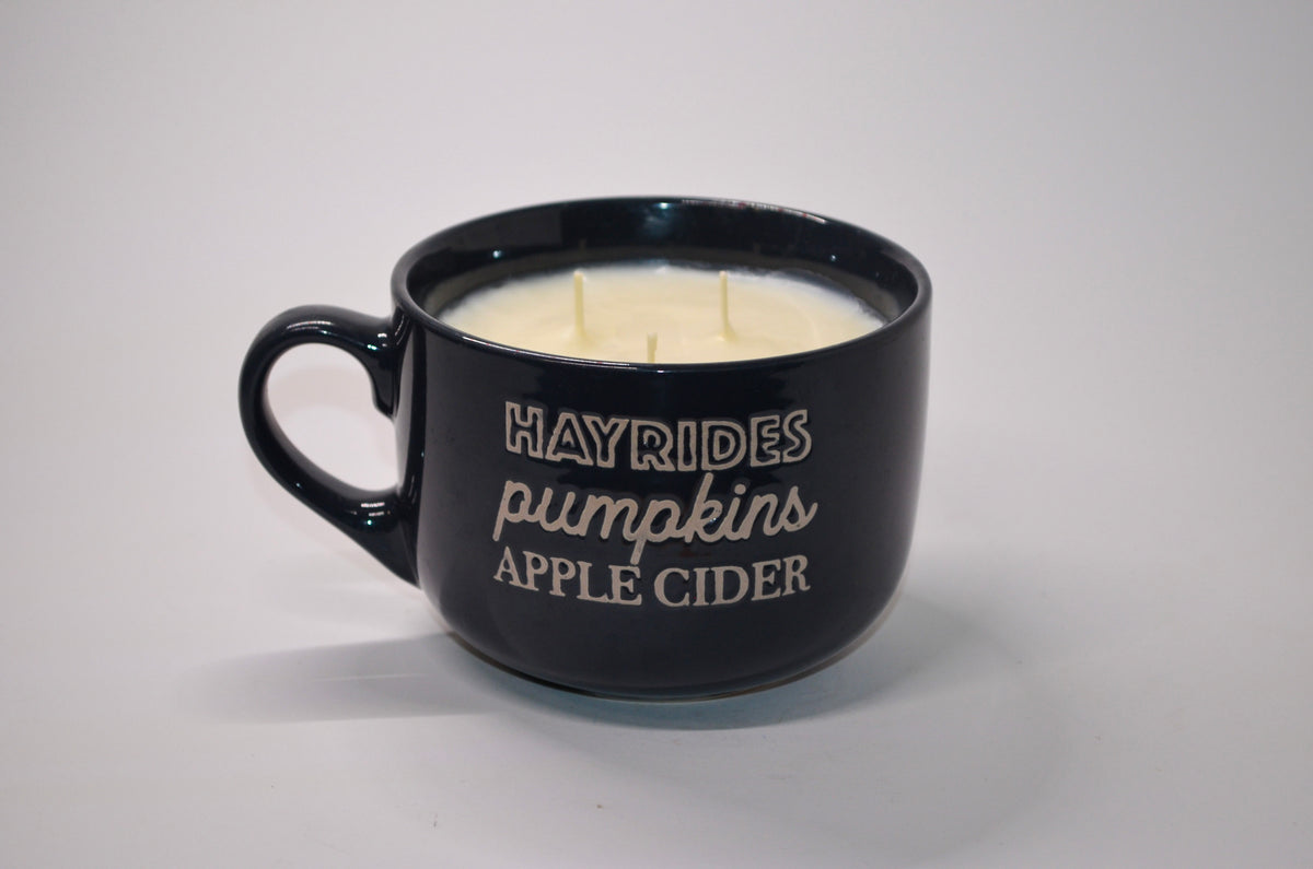 Navy “Hayrides • Pumpkins • Apple Cider” Mug — Coffee Shop